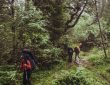 8 Life-Changing Nature Adventures Around the Globe