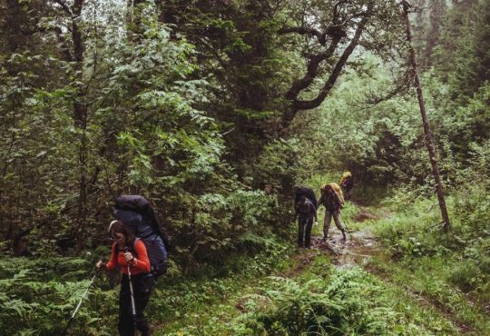 8 Life-Changing Nature Adventures Around the Globe