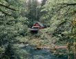 10 Best Nature Retreats in 2025 to Rewild Your Soul