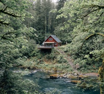 10 Best Nature Retreats in 2025 to Rewild Your Soul