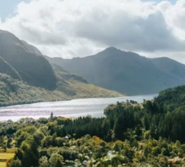 8 Must-Visit New Zealand Spots for Nature and Adventure